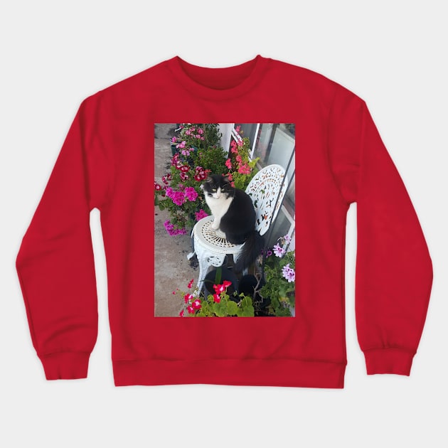 Tuxedo Cat Cute and Beautiful Flowers Crewneck Sweatshirt by SarahRajkotwala